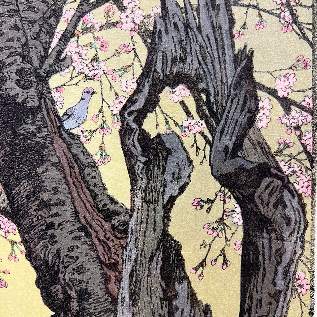 Woodblock print "Cherry Blossom" by Yoshida Toshi Published by Yoshida Studio