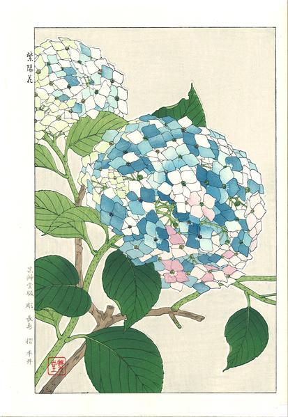 Woodblock print "F075 Hydrangea" by Kawarazaki Shodou Published by UNSODO