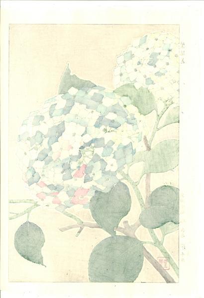 Woodblock print "F075 Hydrangea" by Kawarazaki Shodou Published by UNSODO