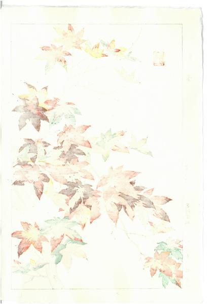Woodblock print "Japanese Maple" by Osuga Yuichi Published by UNSODO