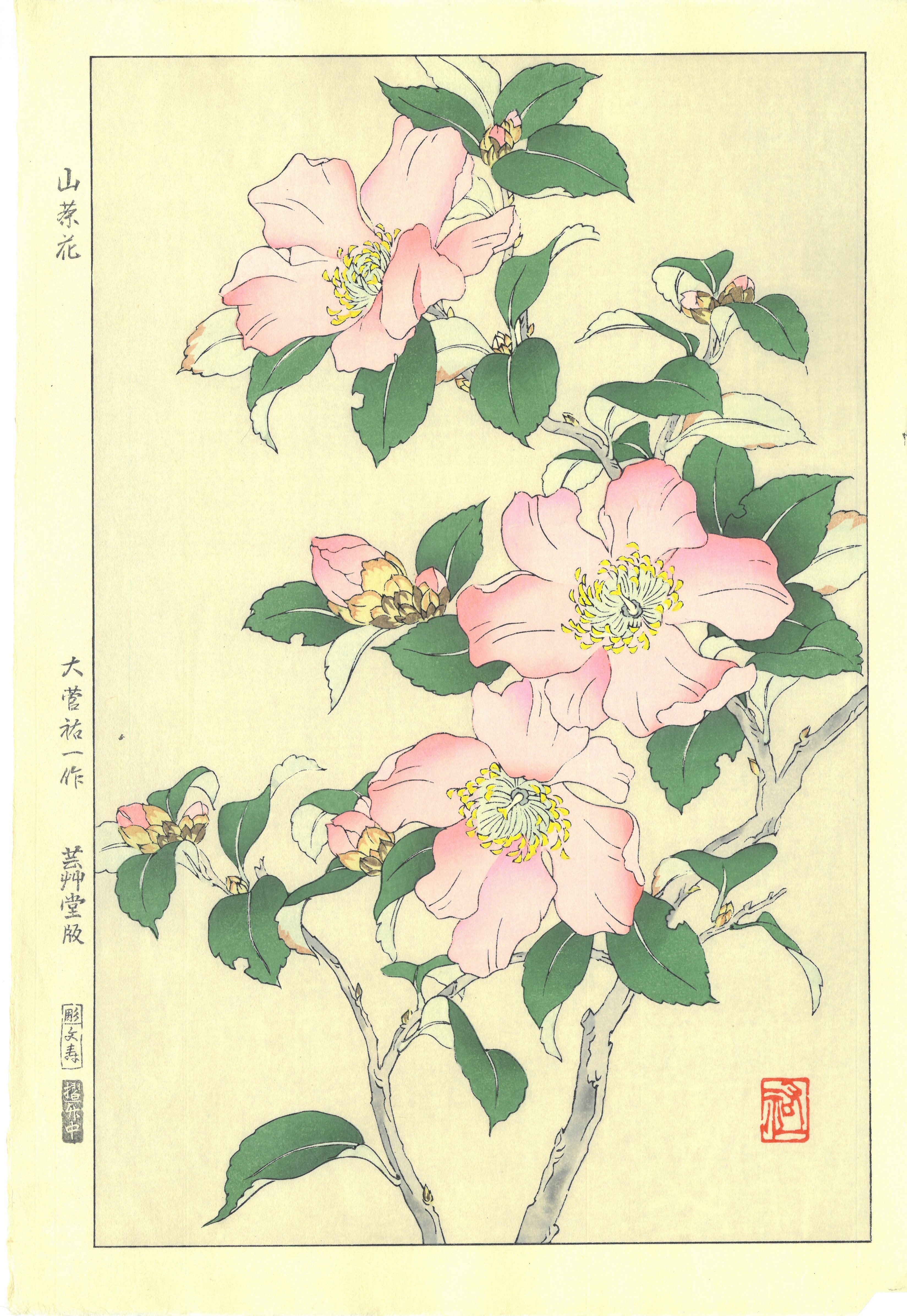 Woodblock print "Camellia" by Osuga Yuichi Published by UNSODO