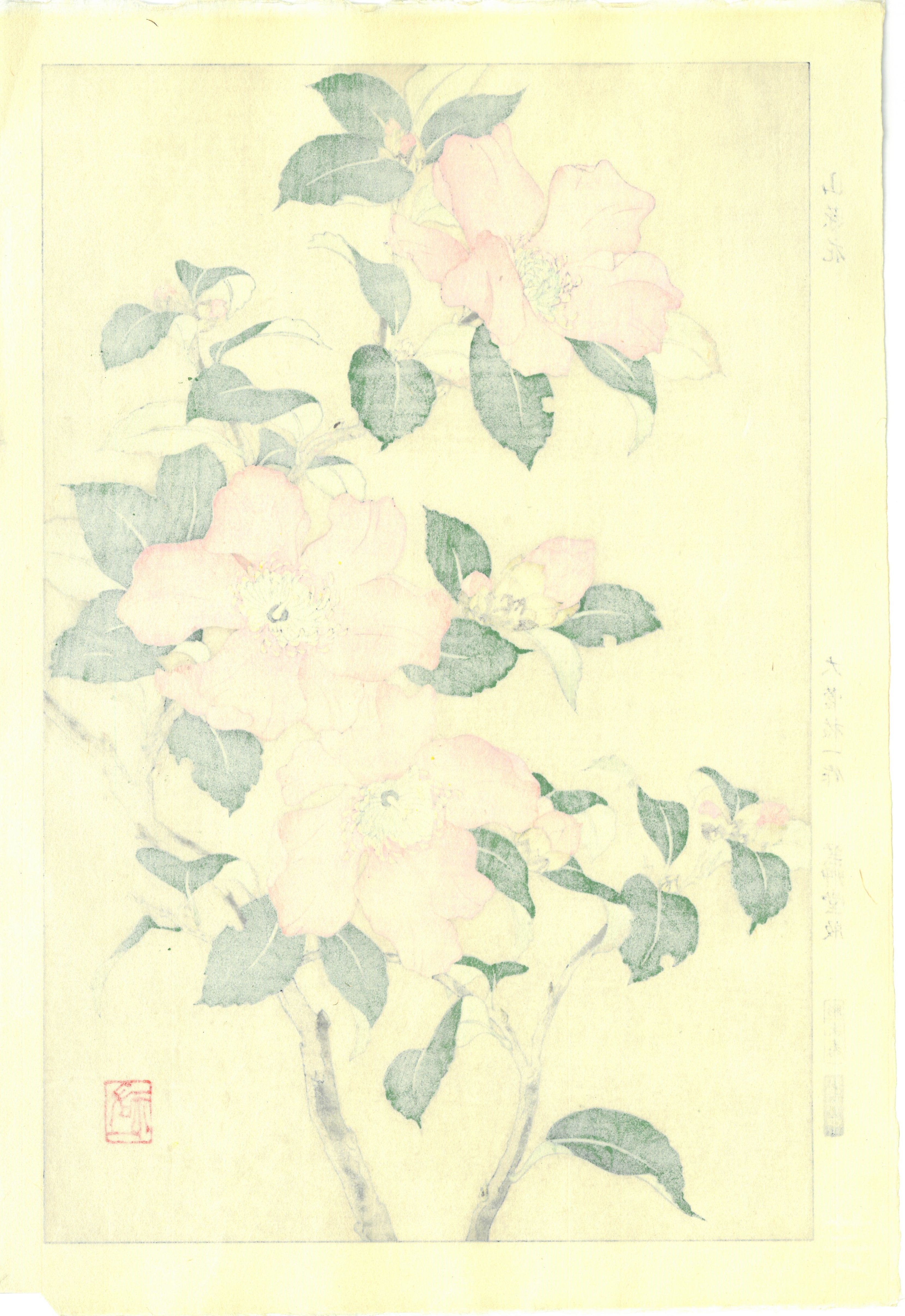 Woodblock print "Camellia" by Osuga Yuichi Published by UNSODO