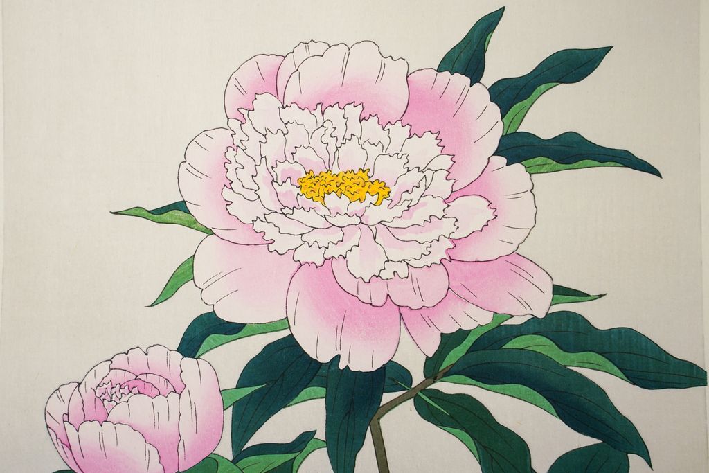 Woodblock print "Peony" by Ito Nizaburo Published by UCHIDA ART