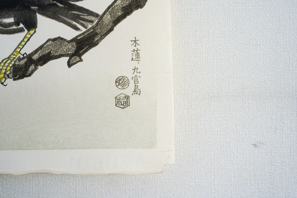Woodblock print "Magnolia and Hill myna" by Kototsuka Ei-ichi Published by UCHIDA ART