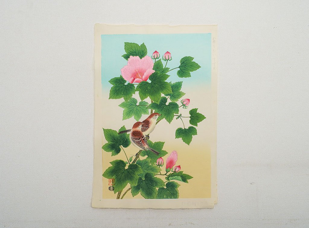 Woodblock print "Sparrow and by Hibiscus mutabilis " by Ashikaga Shizuo Published by UCHIDA ART