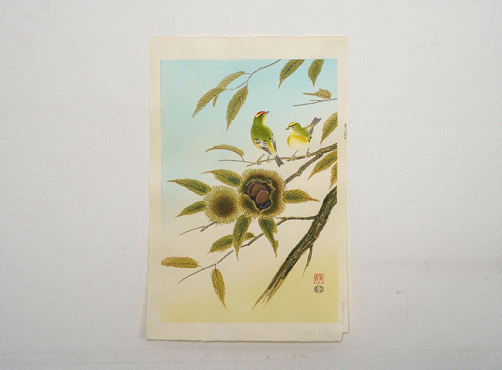 Woodblock print "Kinglet and Chestnut" by Ashikaga Shizuo Published by UCHIDA ART