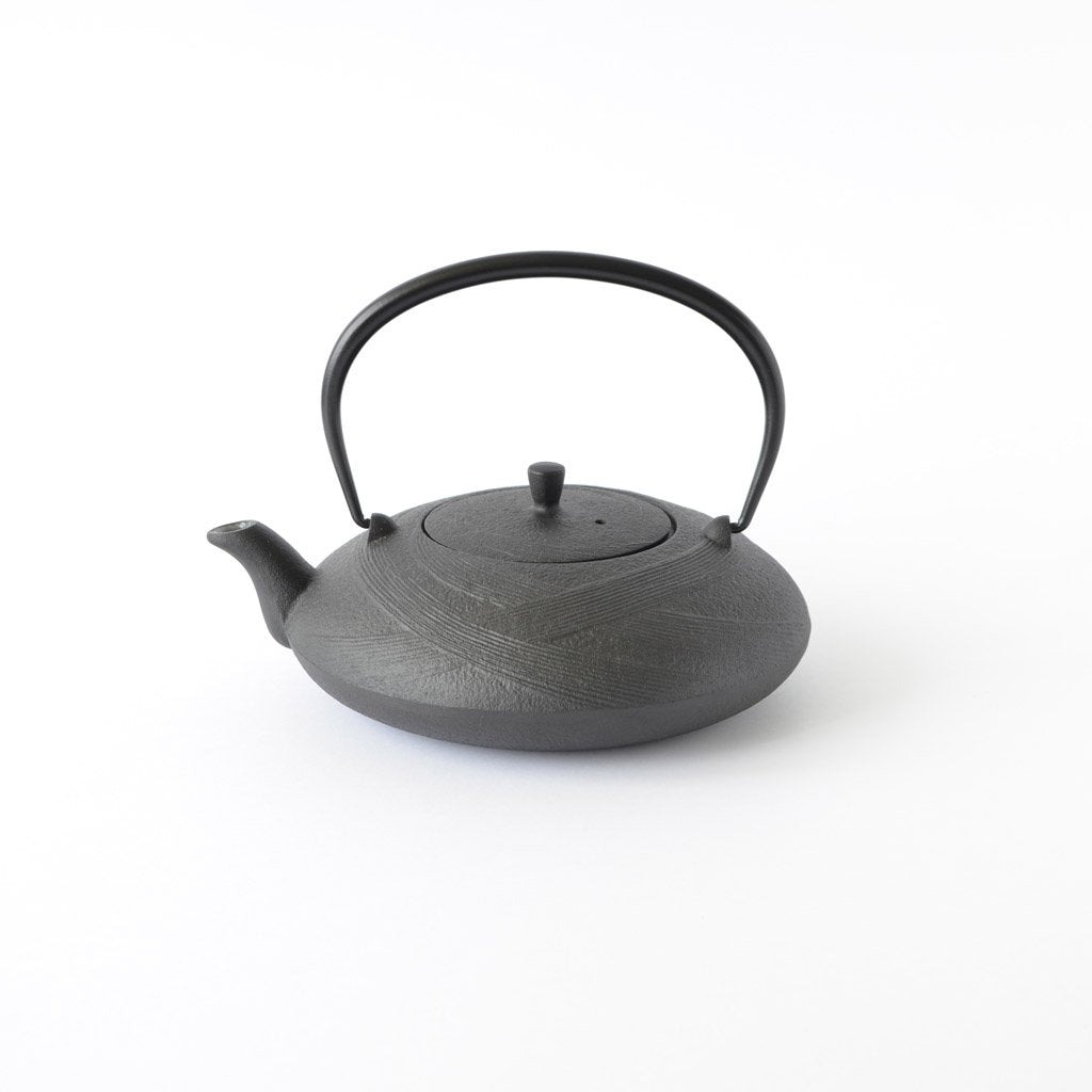 Nambu Cast Iron Tea Pot — ACCESSORIES -- Better Living Through Design
