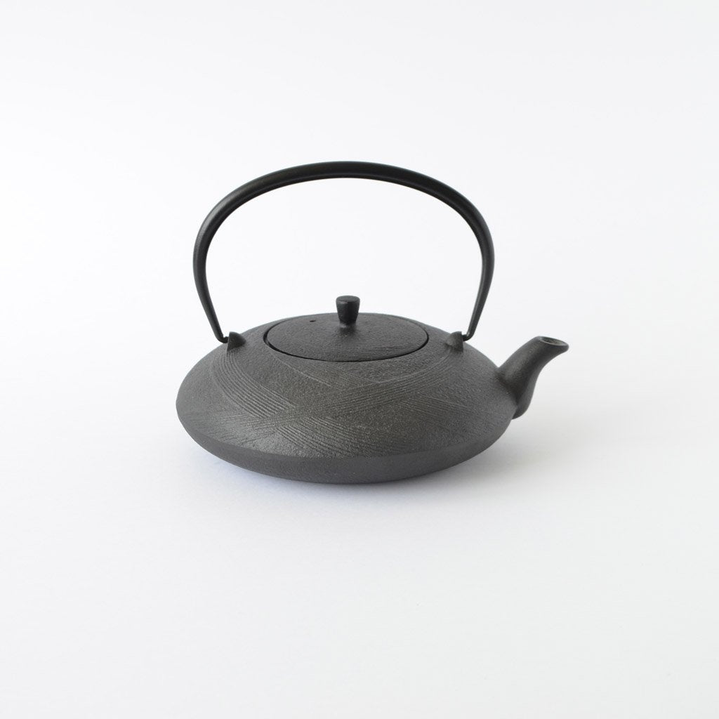 Nambu Ironware Teapot "Hiragata Obi 0.6L"