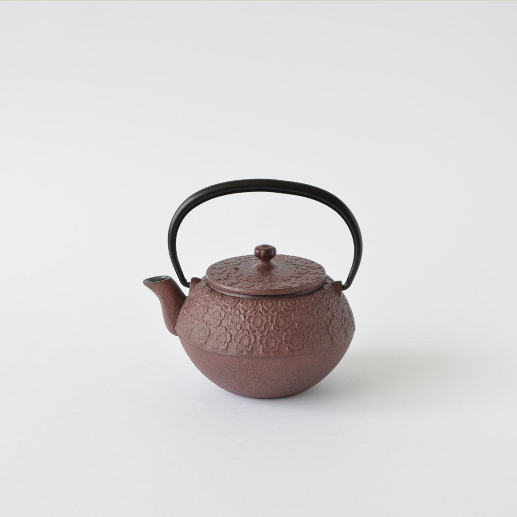 Nambu Ironware Teapot "Sakura 0.35L"